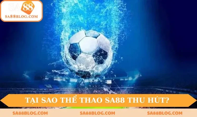 tai sao sanh the thao tai sa88 lai thu hut nguoi choi Tại sao sảnh thể thao tại SA88 lại thu hút người chơi?